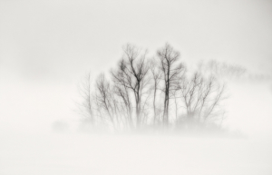 W_WB01-fog